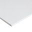 Image de Fermacell Slimpanel Gipsvezelplaat 2600x600x12.50 mm