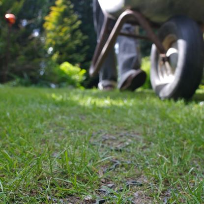 Picture of ACO Hexagrass groen kunststof grasdallen 580 x 390 x 38 mm