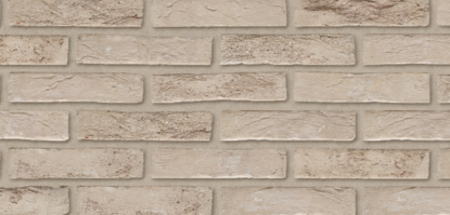 Picture of Wienerberger Prata Genuanceerd WFD 210x100x65mm Lotkeuze