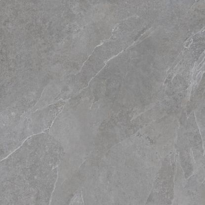 Picture of Sintesi Just Grey Nat 80X80 cm floor tile