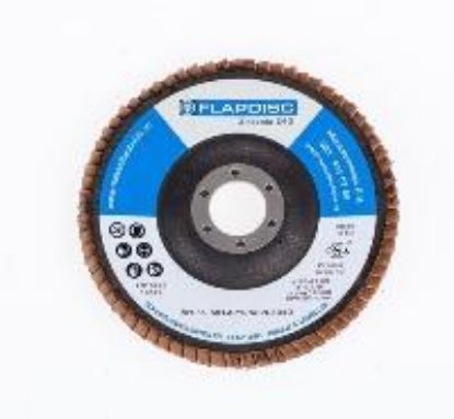 Image de DURO Lamellerschuurschijf 125x22,2 Flap Disc Z80 BF