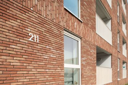 Show details for Nelissen Passion Klampsteen Kesselt Mod50 19x90x50 Picture of Nelissen Passion Klampsteen Kesselt Mod50 19x90x50